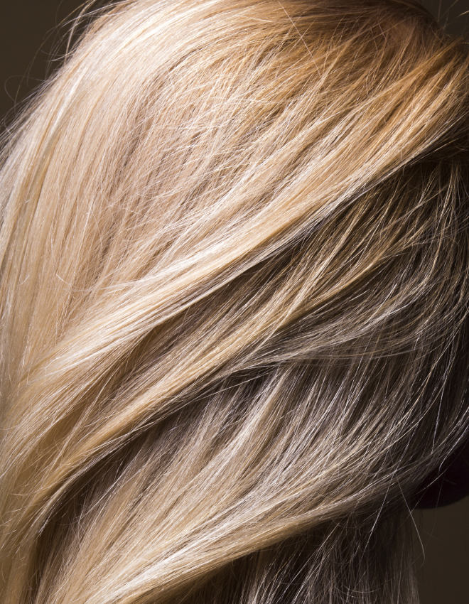 La Biosthetique Color